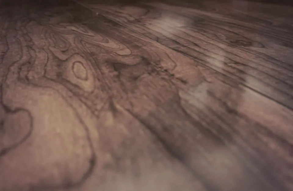 Dark wood floor stretching toward a window